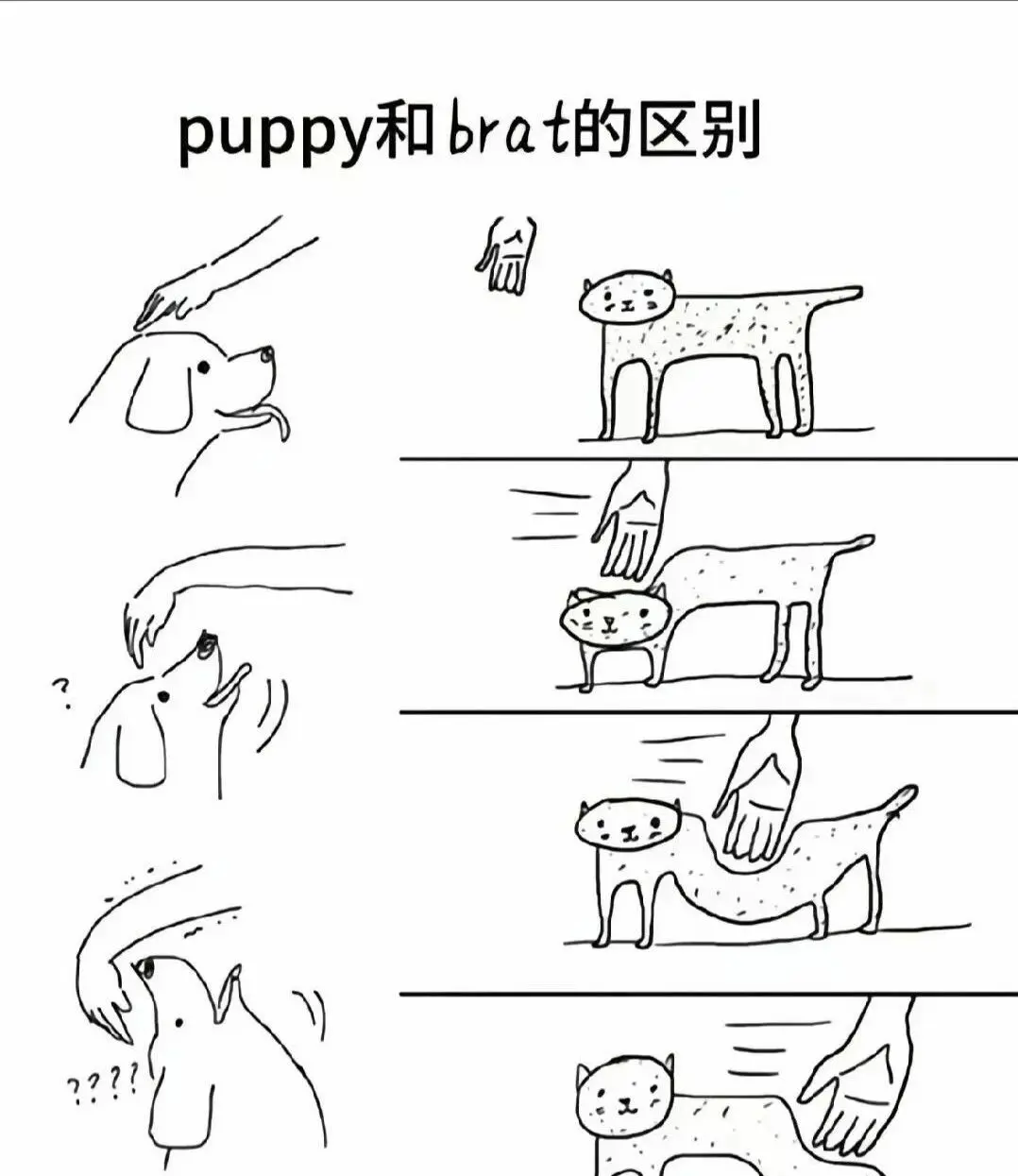 恋足癖 - 微信图片_2025-11-13_180940_765