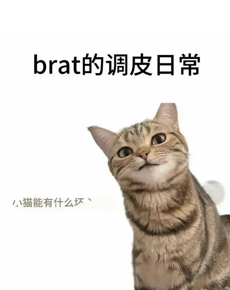 k8猫系 - 2025-11-13 192048